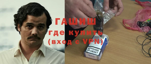 шишки Краснослободск
