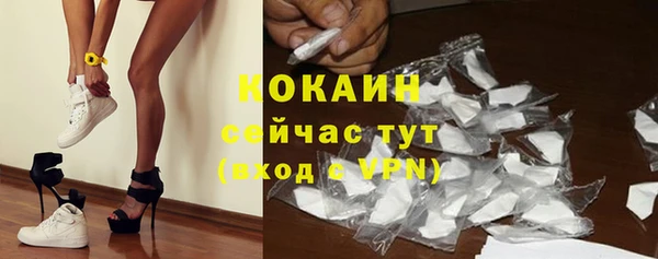 шишки Краснослободск