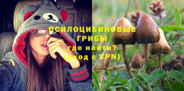 прущая мука Корсаков