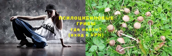 МДПВ Коряжма