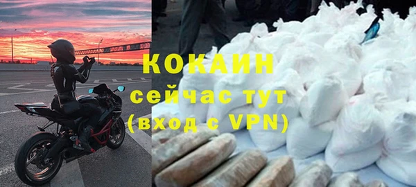 шишки Краснослободск