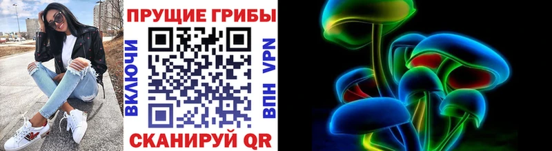 где можно купить   Кирсанов  Галлюциногенные грибы Psilocybe 
